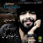 دانلود آهنگ سید حجت نبوی منش ( کاوه ) به نام آقای لوتی ها