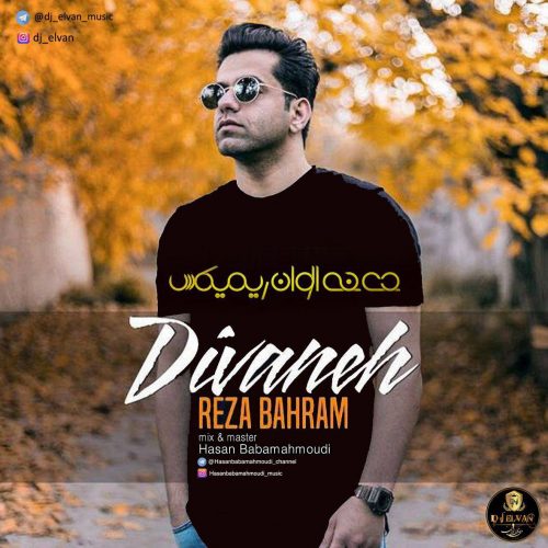 reza-bahram-divaneh-dj-elvan-remix