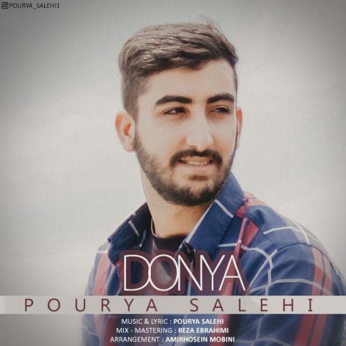 pourya-salehi-donya