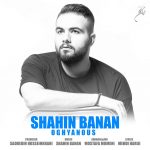 shahin-banan-oghyanous