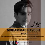 mohammad-havosh-boghz