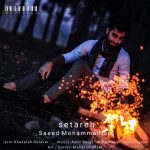 saeed-mohammadian-setareh