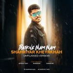 shahriyar-kheyrkhah-barone-nam-nam-unplugged