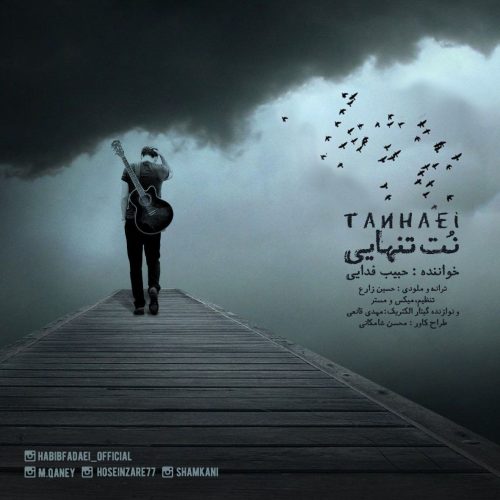 دانلود آهنگ جدید حبیب فدایی نت تنهایی