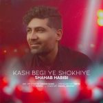 دانلود آهنگ شهاب حبیبیShahab Habibi | Kash Begi Ye Shokhiye به نام کاش بگی یه شوخیه