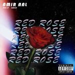 amir-aal-red-rose