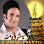 davood-salehi-ye-shooh-me