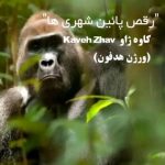 دانلود آهنگ کاوه ژاو به نام رقص پایین شهری ها