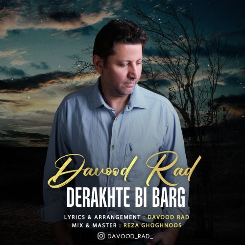 دانلود آهنگ جدید داود راد درخت بی برگ