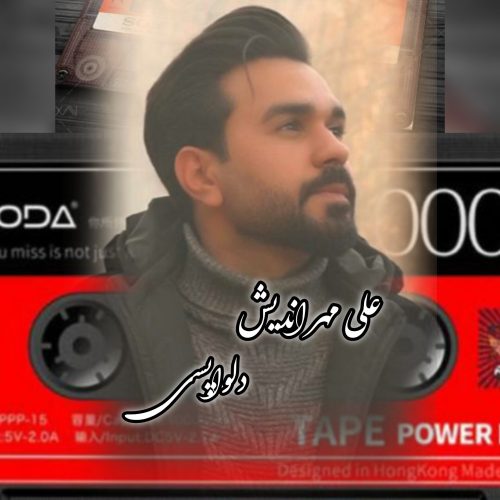 دانلود آهنگ جدید علی مهراندیش دلواپسی