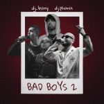 دانلود آهنگ دیجی بانی و دیجی فونیکس به نام بد بویز ۲