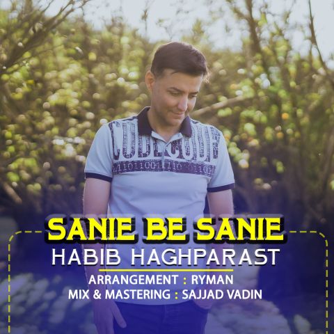 دانلود آهنگ جدید حبیب حق پرست ثانیه به ثانیه