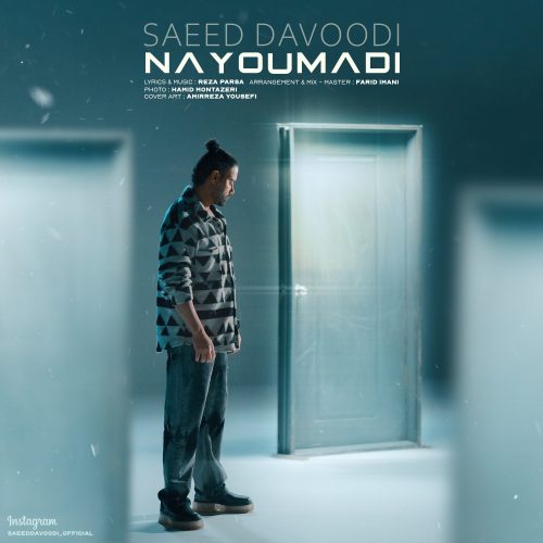 دانلود آهنگ جدید سعید داوودی نیومدی