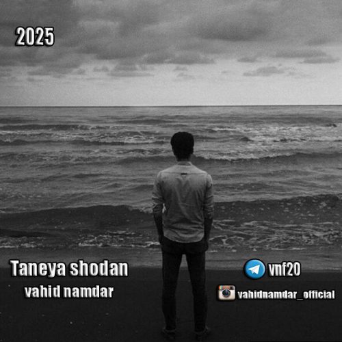 دانلود آهنگ جدید وحید نامدار تنها شدن