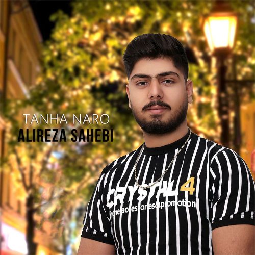دانلود آهنگ جدید علیرضا صاحبی تنها نرو