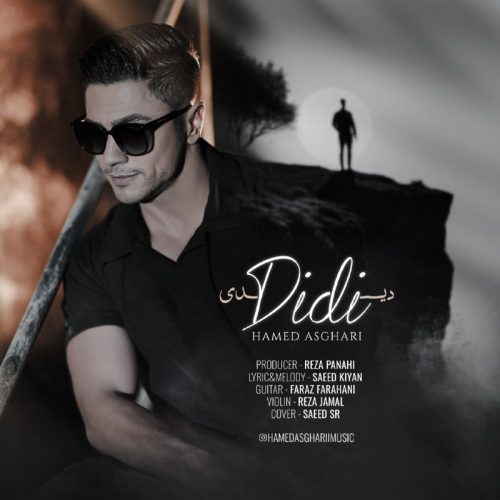 دانلود آهنگ جدید حامد اصغری دیدی