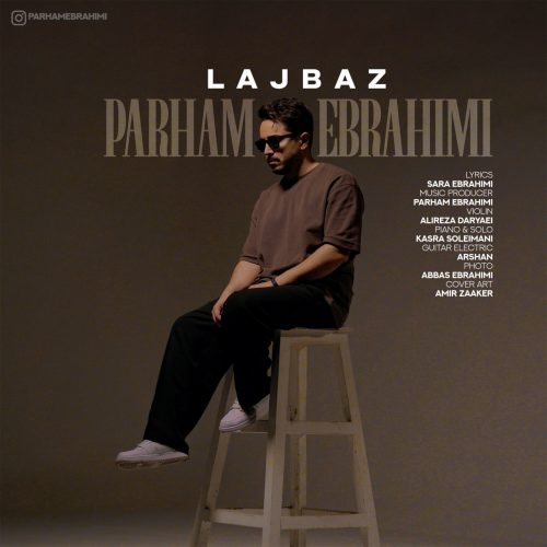 دانلود آهنگ جدید پرهام ابراهیمی لجباز