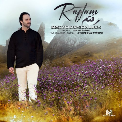 دانلود آهنگ جدید محمد مفرد رفتم