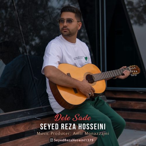 دانلود آهنگ جدید سید رضا حسینی دل ساده