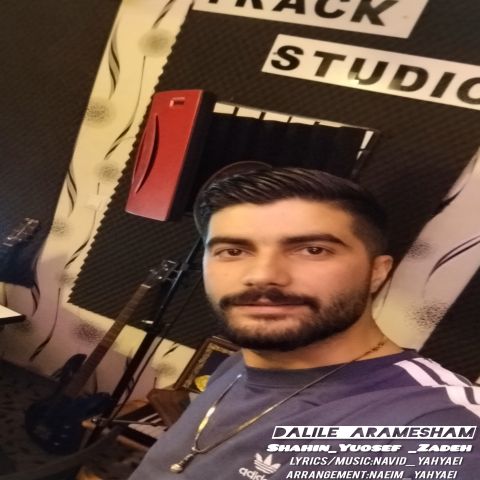 دانلود آهنگ جدید شاهین یوسف زاده دلیل آرامشم