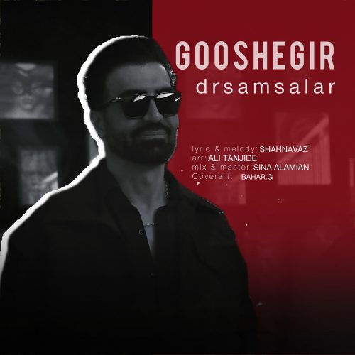 دانلود آهنگ جدید دکتر سام سالار گوشه گیر