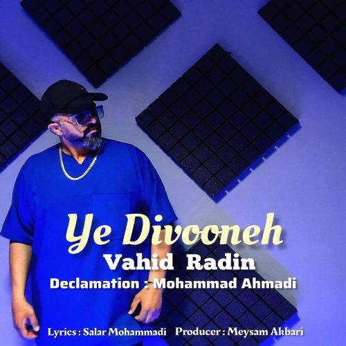 دانلود آهنگ جدید وحید رادین یه دیوونه