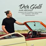 دانلود آهنگ امیر عابدینی به نام دوتا قلب