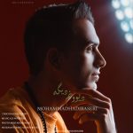 دانلود آهنگ محمد هادی باصری به نام دیوونم دیگه