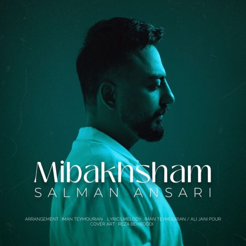 دانلود آهنگ جدید سلمان انصاری میبخشم