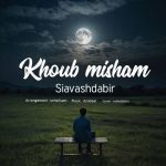 دانلود آهنگ سیاوش دبیر به نام خوب میشم