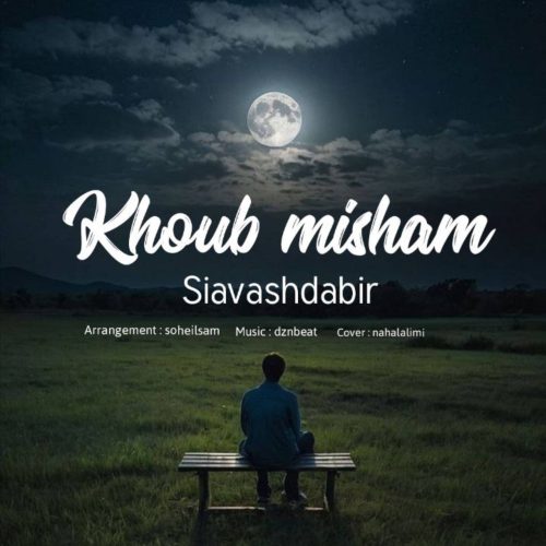 دانلود آهنگ جدید سیاوش دبیر خوب میشم