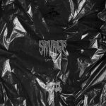 دانلود آهنگ سروشم به نام وحشی