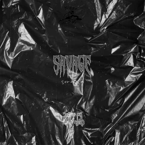 دانلود آهنگ جدید سروشم وحشی