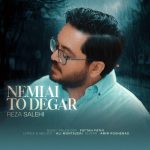 دانلود آهنگ رضا صالحی به نام نمیایی تو دگر