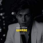 دانلود آهنگ سعید حسام به نام غریبه
