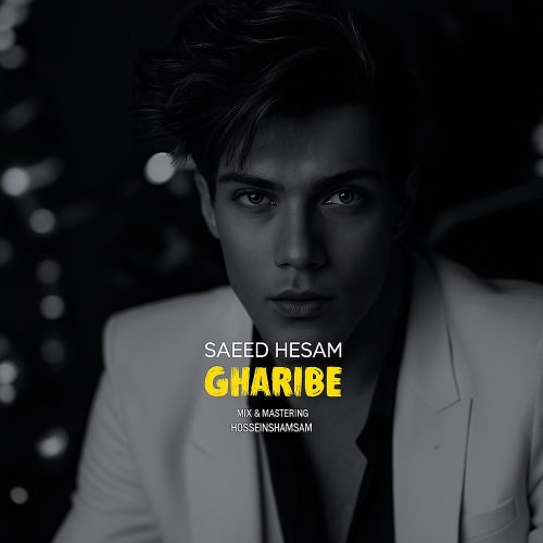 دانلود آهنگ جدید سعید حسام غریبه