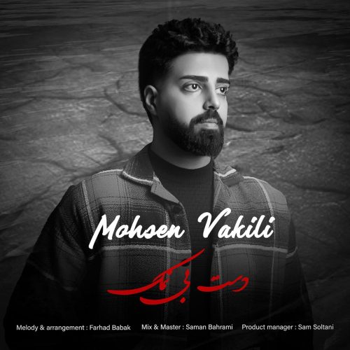 دانلود آهنگ جدید محسن وکیلی دست بی نمک