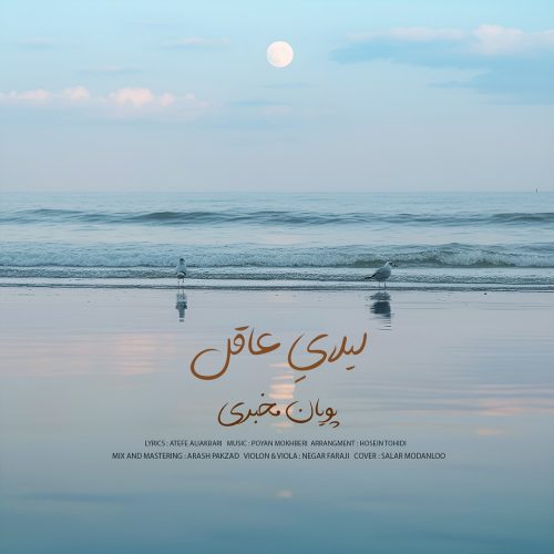 دانلود آهنگ جدید پویان مخبری لیلای عاقل