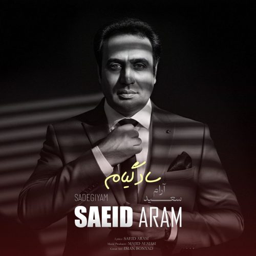 دانلود آهنگ جدید سعید آرام سادگیام