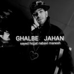 دانلود آهنگ سید حجت نبوی منش به نام قلب جهان