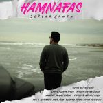 دانلود آهنگ سپهر جانان به نام همنفس