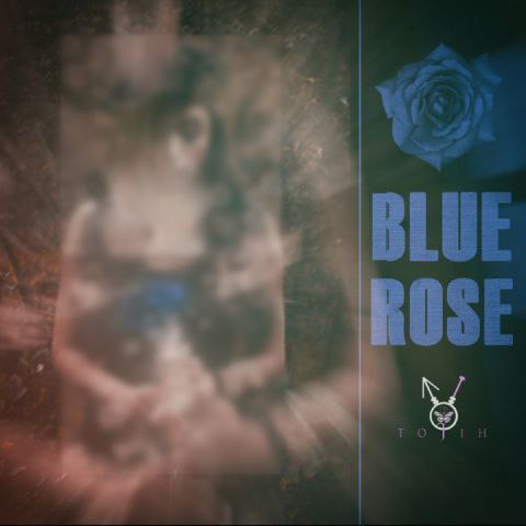 دانلود آهنگ جدید مسکوت رز ابی