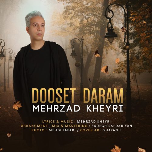 دانلود آهنگ جدید مهرزاد خیری دوست دارم