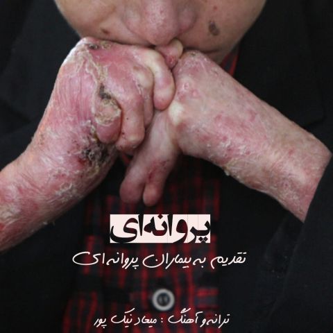 دانلود آهنگ جدید میعاد نیک پور پروانه ای