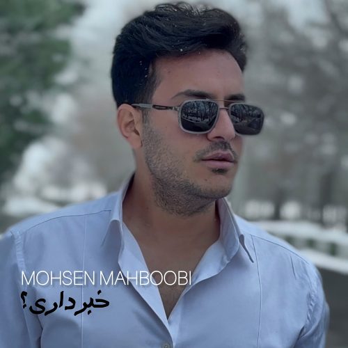 دانلود آهنگ جدید محسن محبوبی خبر داری