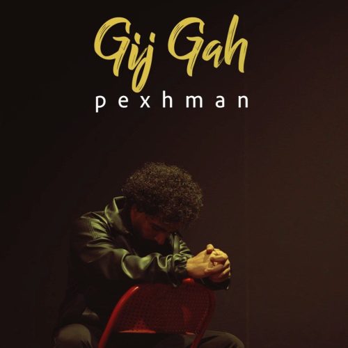 دانلود آهنگ جدید پژمان گیجگاه