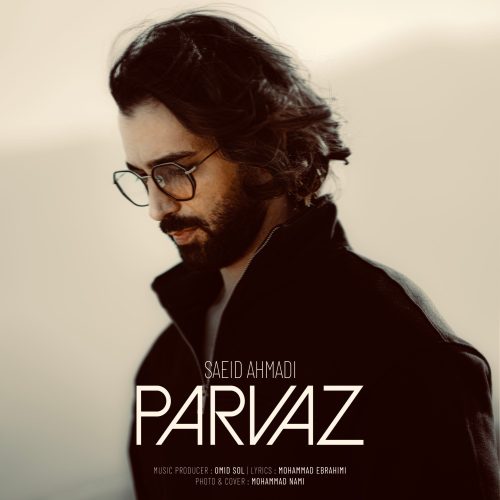 دانلود آهنگ جدید سعید احمدی پرواز