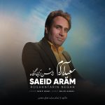 دانلود آهنگ سعید آرام به نام روشن ترین نگاه