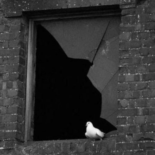 دانلود آهنگ جدید جواد سیلی