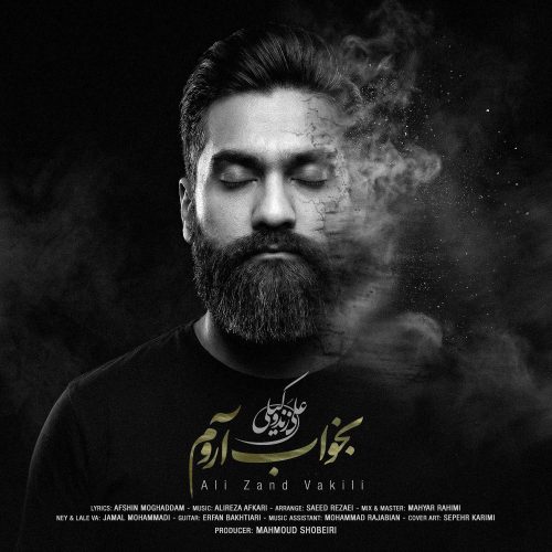 دانلود آهنگ جدید علی زندوکیلی بخواب آروم